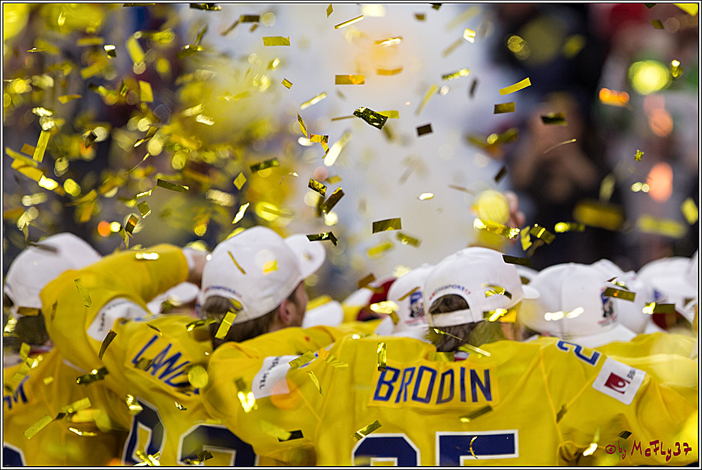 IIHF WM 2017, Kanada - Schweden, 22.05.2017